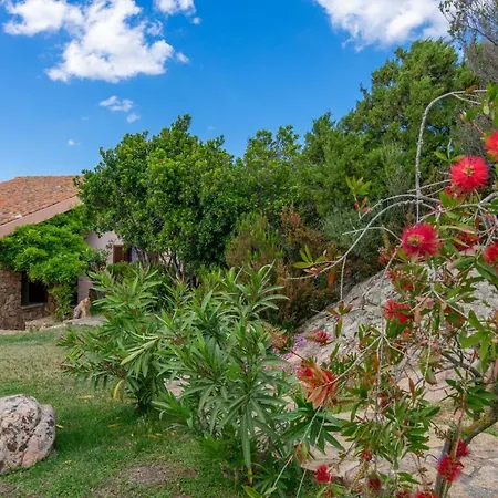 Villino D5 Coda Cavallo Villaggio Cala Paradiso Casa de Férias San Teodoro (Sardinia)
