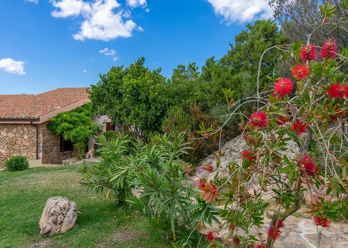 Villino D5 Coda Cavallo Villaggio Cala Paradiso Dom wakacyjny San Teodoro (Sardinia)